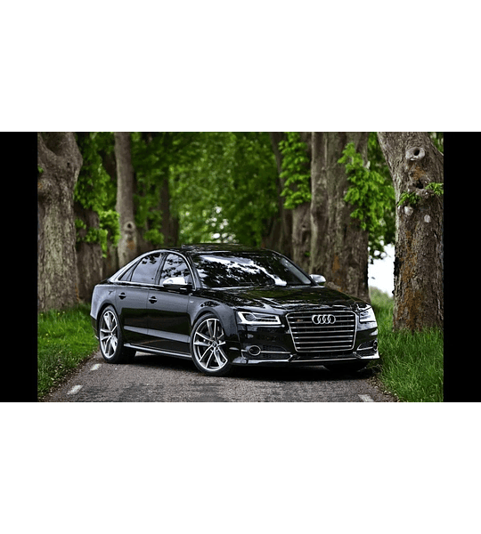 Manual De Taller Audi A8 / S8 (d4 / 4h) 2010-2017 inglés