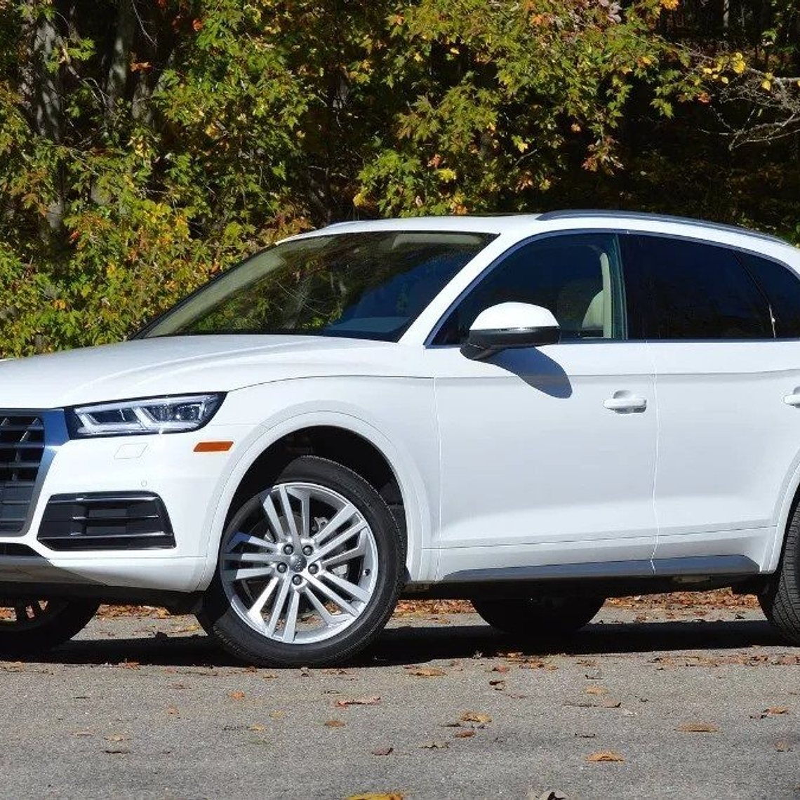 Manual De Taller Audi Q5 ( 2008-2016 ) Inglés 1