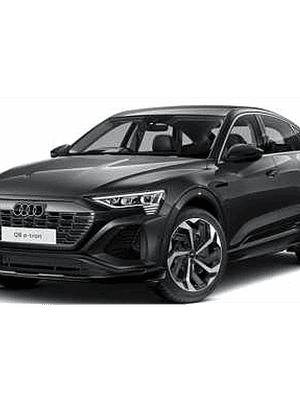 Manual De Taller Audi Q8 SQ8 E-TRON SPORTBACK GET (2023-2024) Ingles*** Diagramas Eléctricos