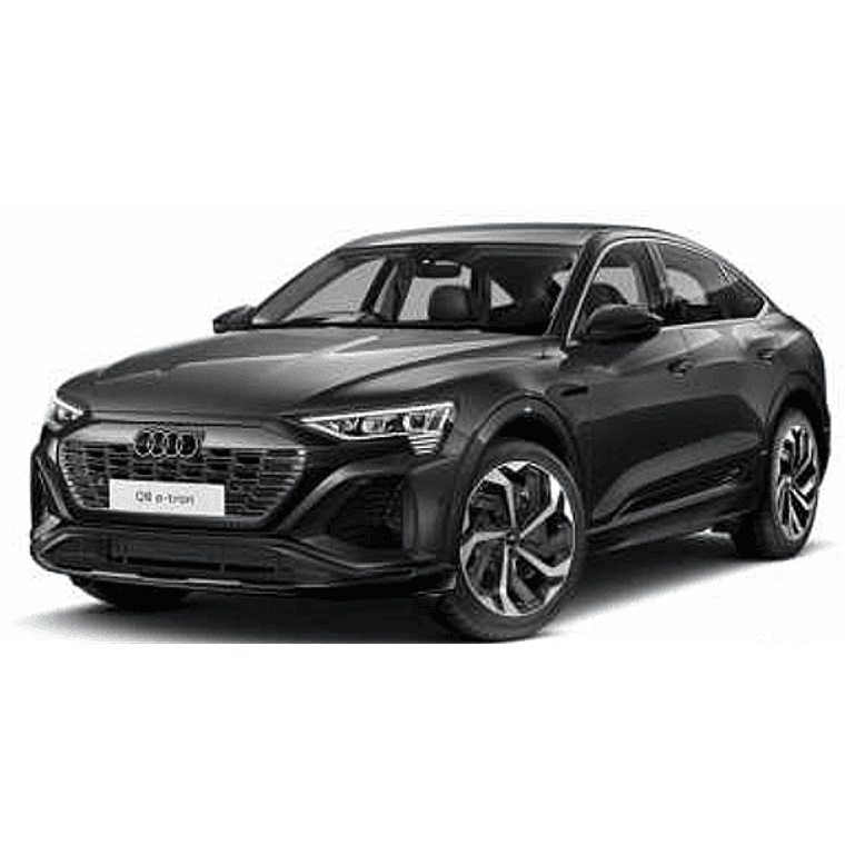 Manual De Taller Audi Q8 SQ8 E-TRON SPORTBACK GET (2023-2024) Ingles*** Diagramas Eléctricos 1