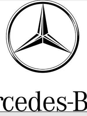 Mercedes Benz WIS / ASRA (2019) Descarga 