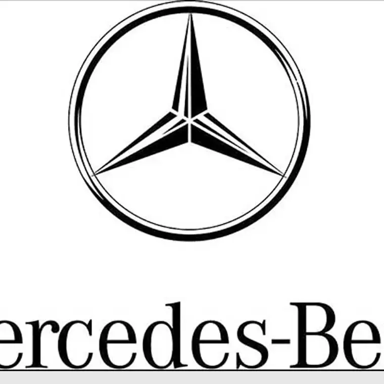 Mercedes Benz WIS / ASRA (2019) Descarga  1