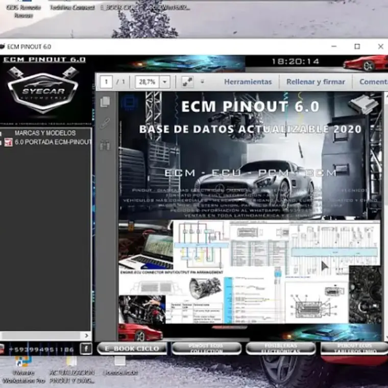ECM Pinout 6.1 Base de datos (2020) Descarga  1