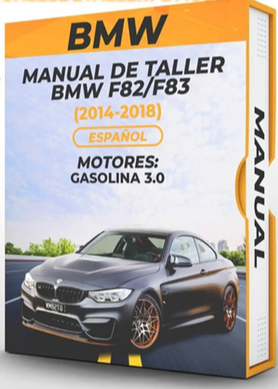 Manuale d'officina BMW F82/F83 (2014-2018) 3.0 1