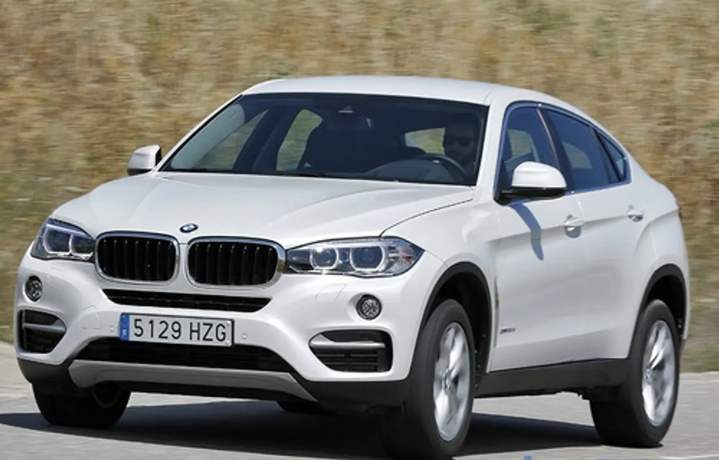 Manuale di officina BMW X6 (2014-2019) (Spag) 1