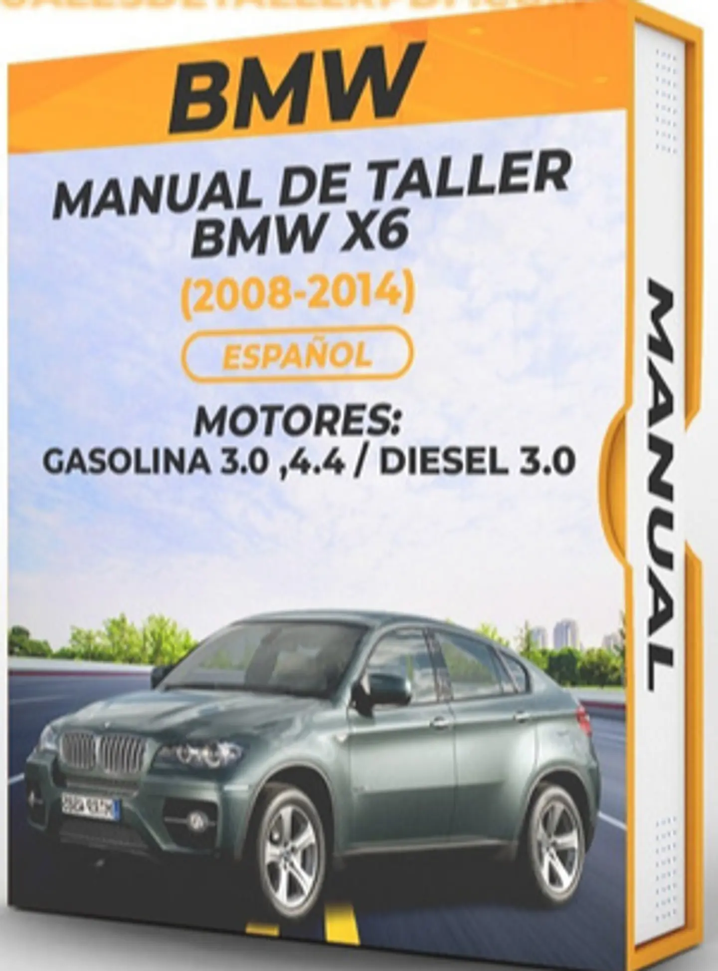 Manuale di officina BMW X6 (2008-2014)  3.0, 4.4 Gas 3.0 1