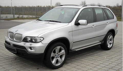 Manuale di officina BMW X5 (1999-2006) (Spag)
