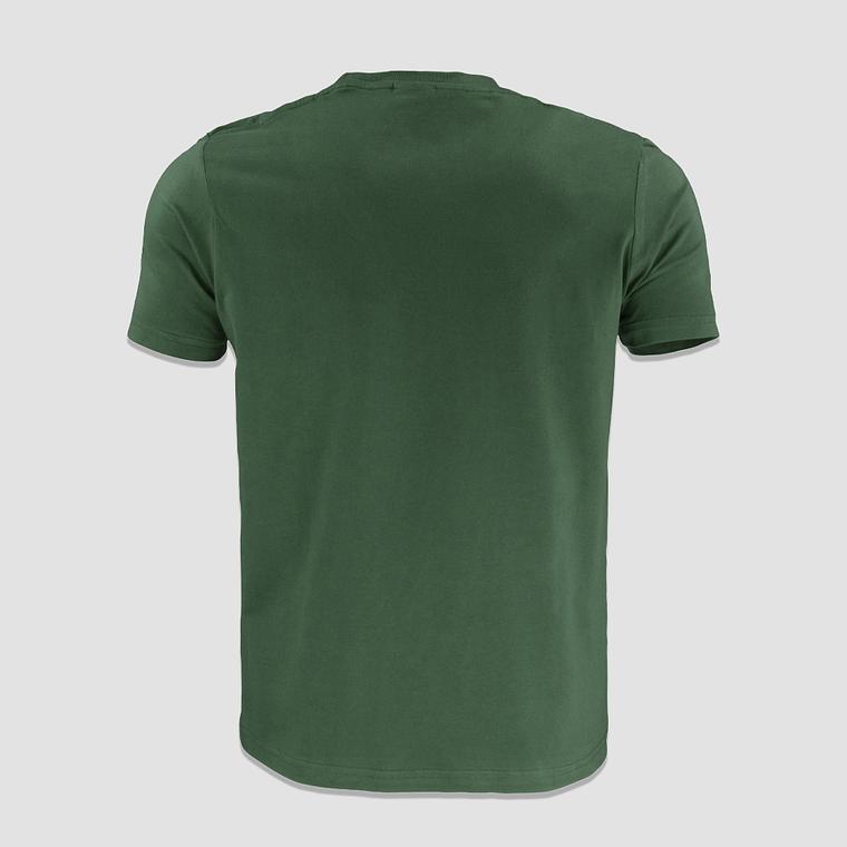 Polera 100% Algodón Manga Corta Colores 10