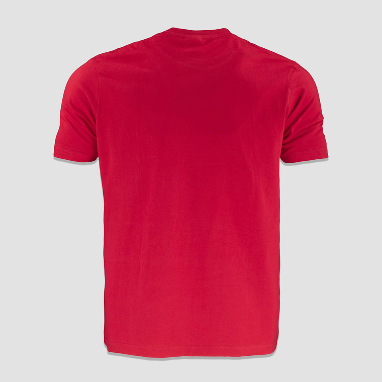 Polera 100% Algodón Manga Corta Colores 14