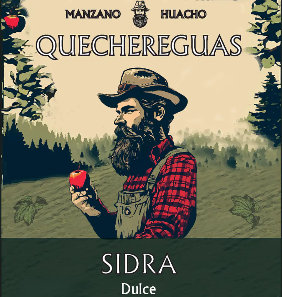 Quechereguas 330cc 12 unidades 3