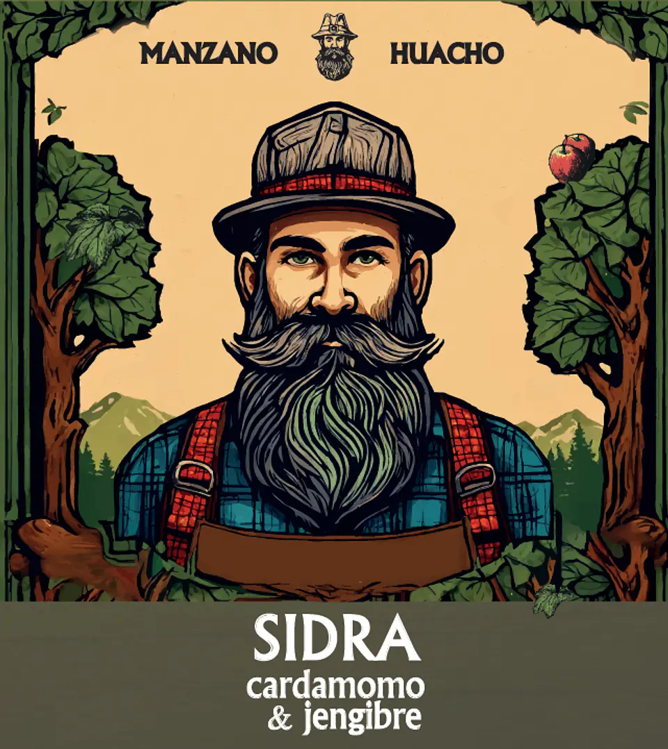 Sidra Cardamomo y jengibre 330cc 12 Unidades 4