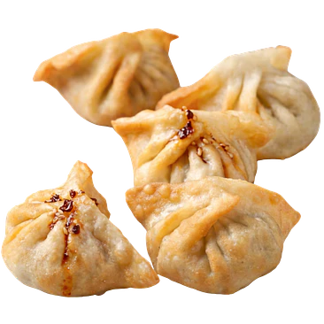 Gyosas de Camarón 1