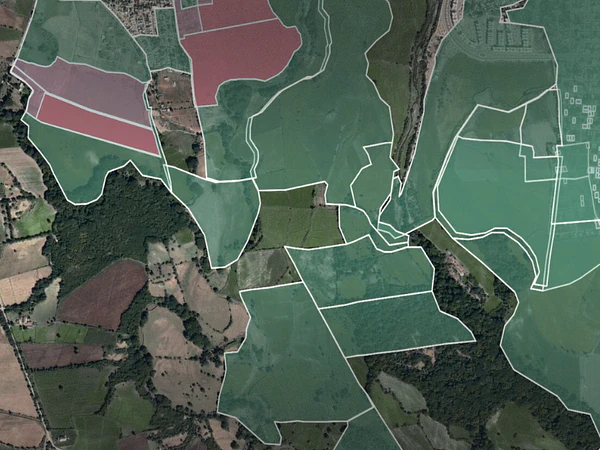 Acelere os Seus Projetos com Modelos Digitais de Terreno e Levantamentos DWG Precisos