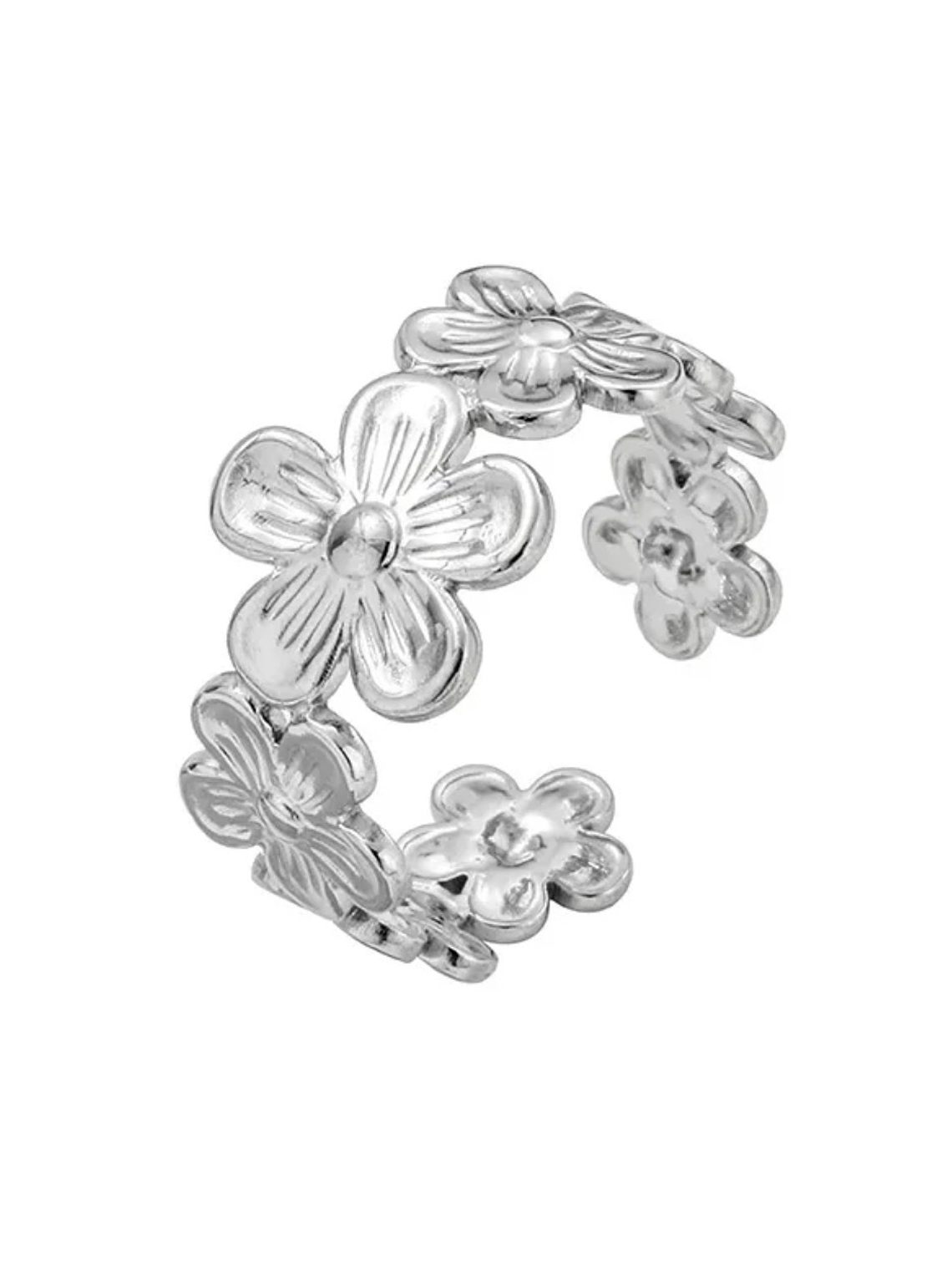 Anel Flores 2