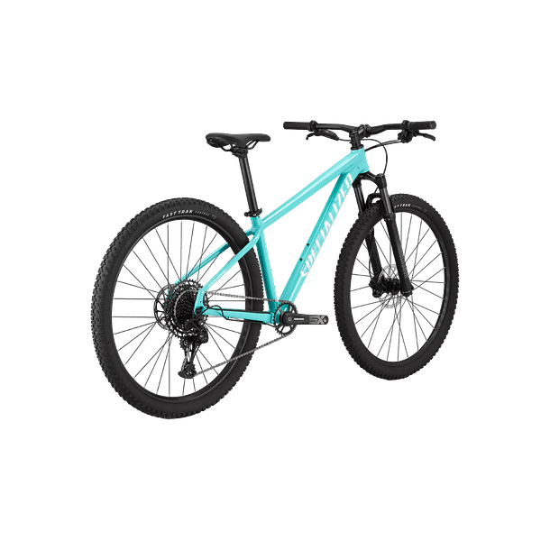 Specialized Expert 29 Lagoon Blue 2