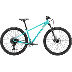 Specialized Expert 29 Lagoon Blue