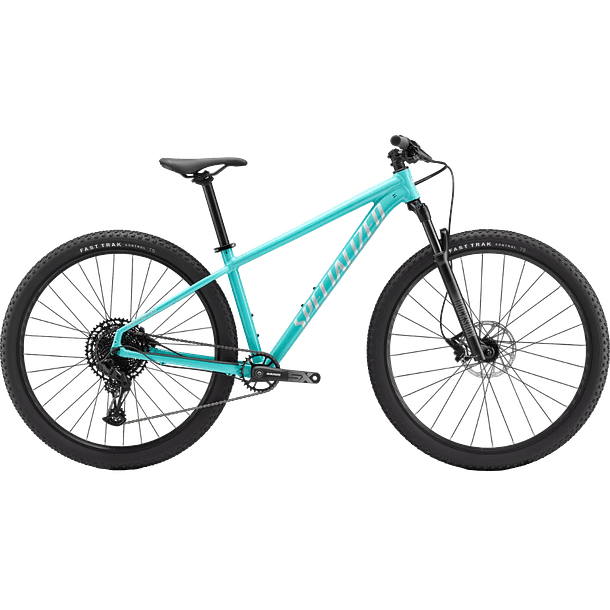 Specialized Expert 29 Lagoon Blue 1