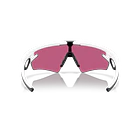 Lentes Oakley Sphaera Slash -Prizm Field 4