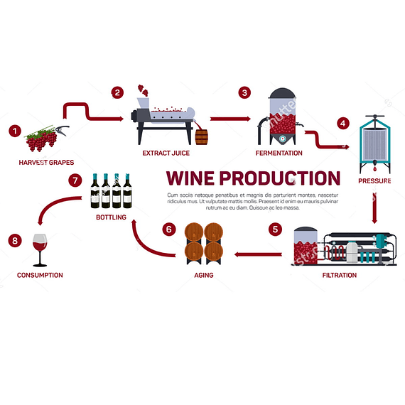 5 Maquina para produccion de vino elaboracion enologica industria vitivinicola bodega equipos procesamiento de uva (sin precio)