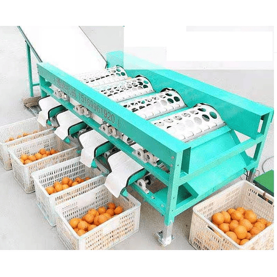 2 Clasificadora calibradora de tamaño mesa frutas tomates hortalizas paltas naranjas citricos papas cebollas maquina (sin precio) equipos
