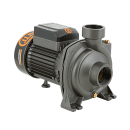  Bomba centrífuga gran caudal 2" 2 Hp BHFM5AM Bercatti