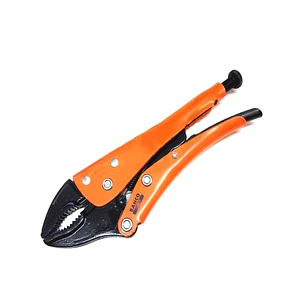 Caiman de boca curva 7