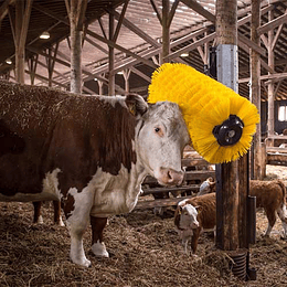 5 Comfort brush para vacas ganaderia ganado bovinos cepillo rotativo giratorio rascador rodillos corporal (sin precio)