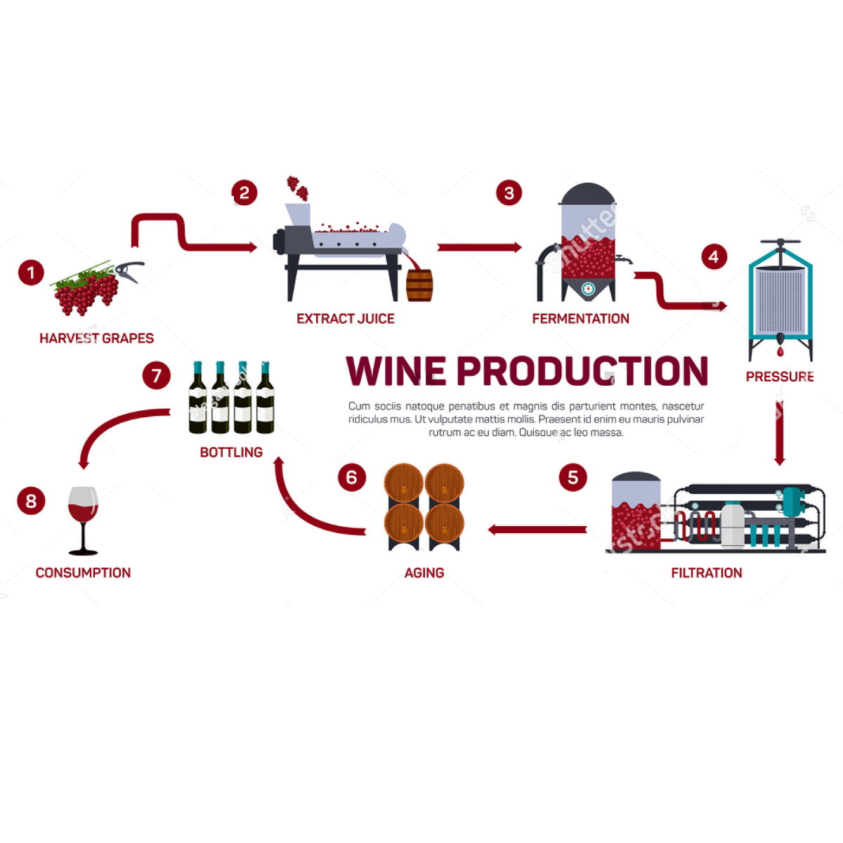 Maquina para industria de Vino. Maquinaria bodega vino. m...