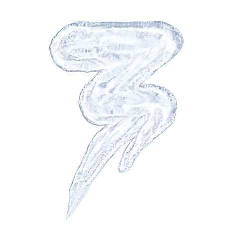 Revolution PRO - Primer Matificante