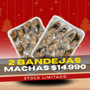 Machas Media Concha  2 Bandejas (24 Unidades)