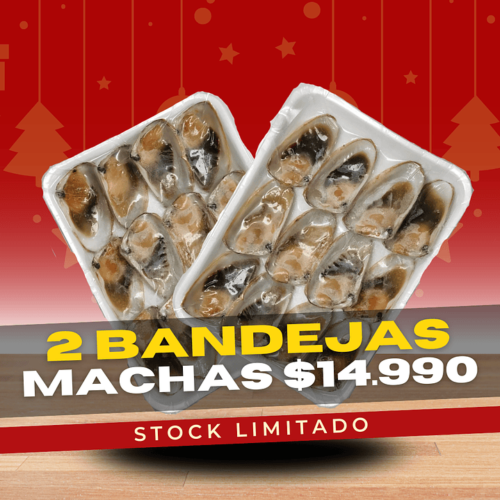 Machas Media Concha  2 Bandejas (24 Unidades) 1