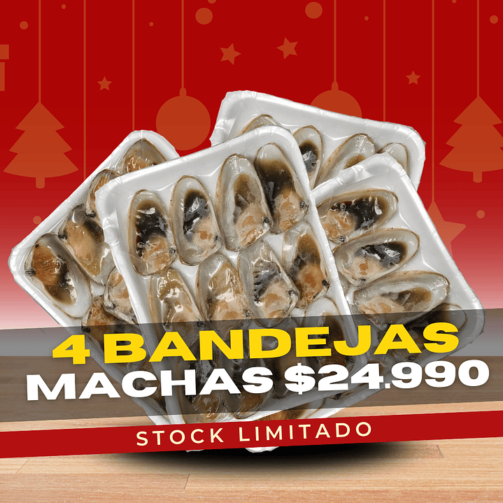 Machas Media Concha 4 Bandejas (48 Unidades) 1