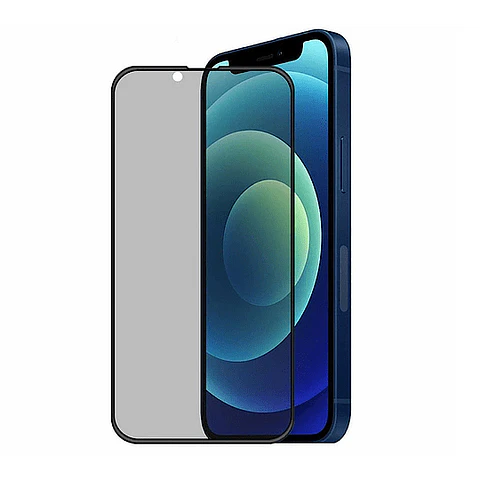 iPhone 12 Pro Max Lámina Anti-espía