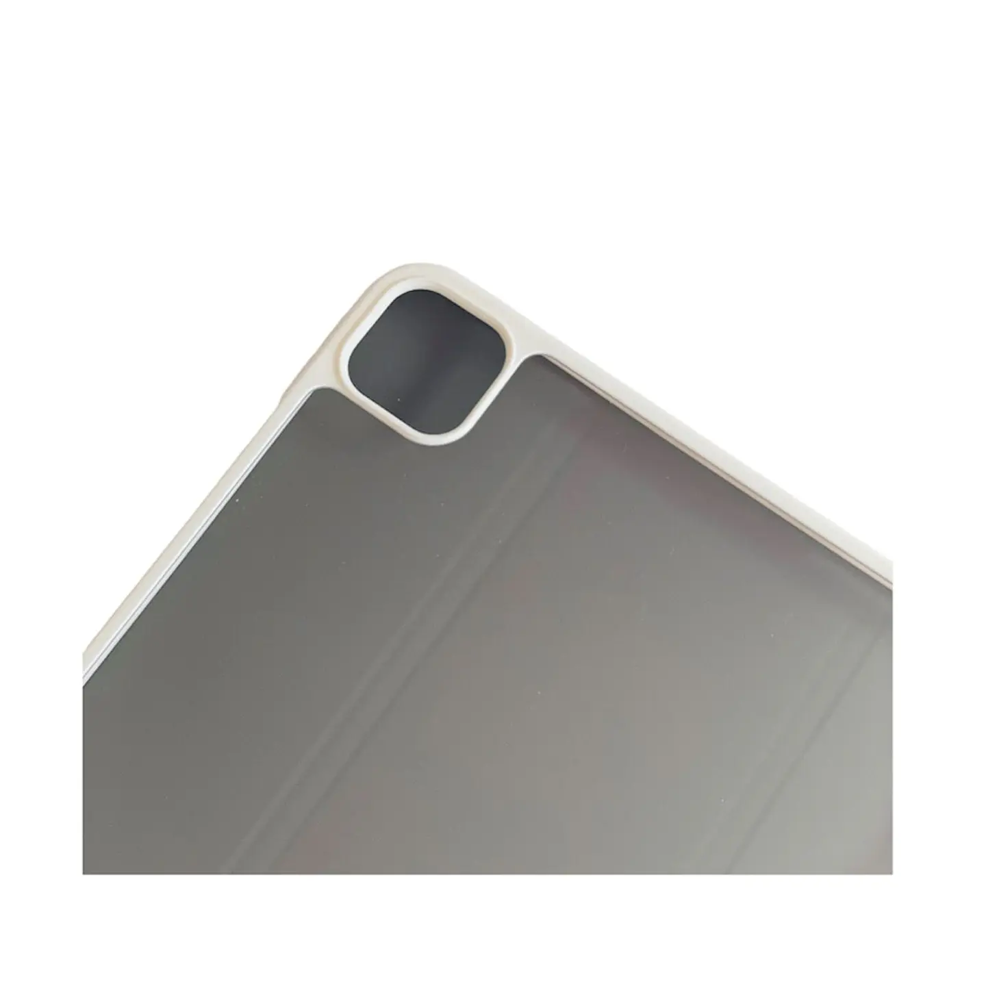 Funda iPad Pro 11