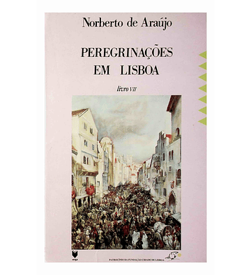 Peregrinações em Lisboa Livro VII