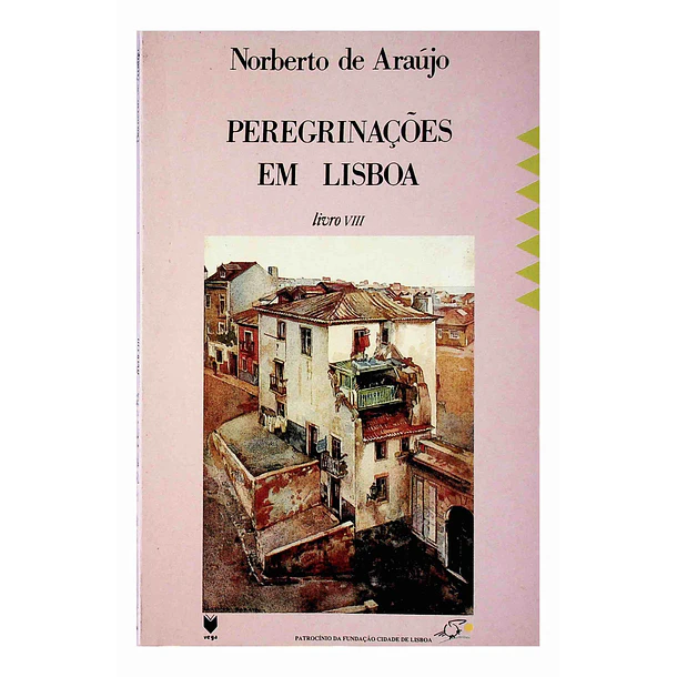 Peregrinações em Lisboa Livro VIII