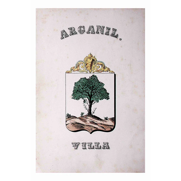 Brasão da Vila de Arganil