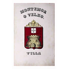 Brasão da Vila de Montemor-o-Velho 1