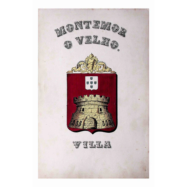 Brasão da Vila de Montemor-o-Velho 1