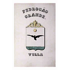 Brasão da Vila de Pedrógão Grande 1