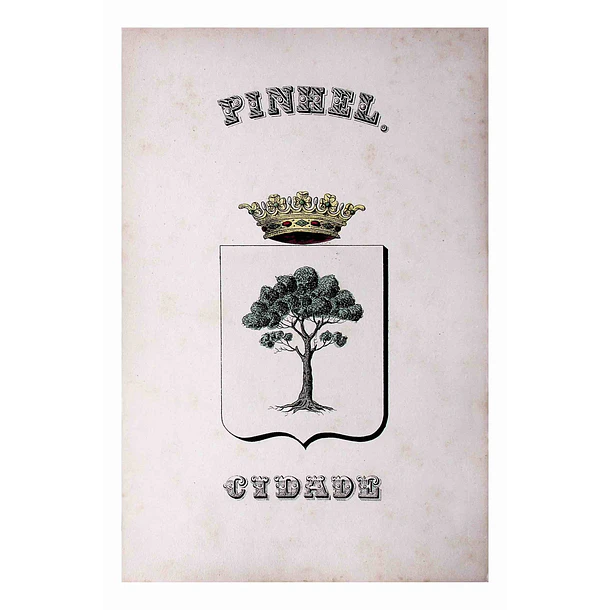 Brasão da Cidade de Pinhel