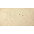 189? Sobrescrito Inteiro D. Luís Fita Direita 50 r. Rosa enviado de Alcains para Paris, França 2