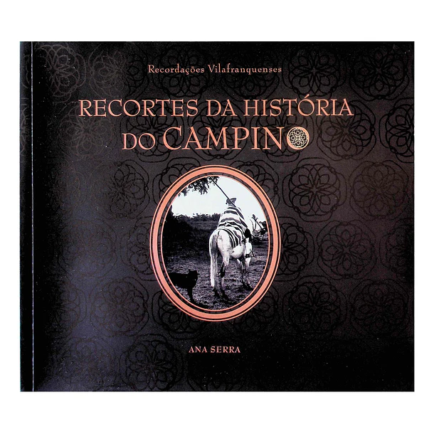 Recortes da História do Campino