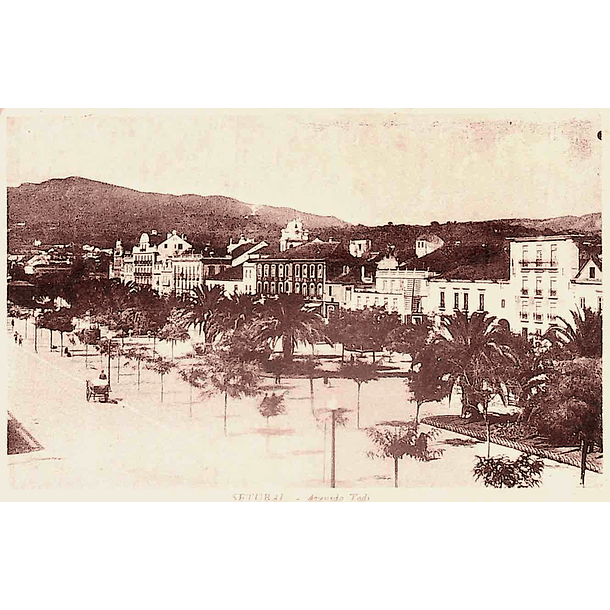 1920's Bilhete Postal de Setúbal. Avenida Todi