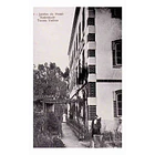 1910's Bilhete Postal de Torres Vedras. Jardim do Hotel Natividade 1