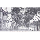 1910's Bilhete Postal de Torres Vedras. Avenida 5 de Outubro 1