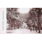 1900's Bilhete Postal de Torres Vedras. Avenida dos Cucos 1