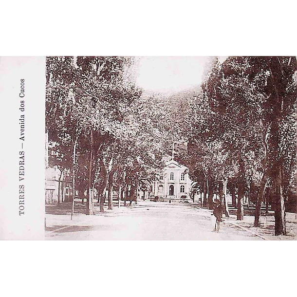 1900's Bilhete Postal de Torres Vedras. Avenida dos Cucos