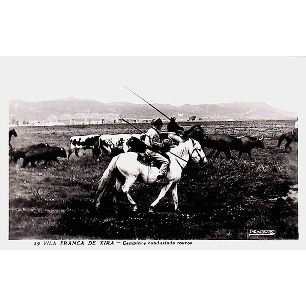 1940's Bilhete Postal de Vila Franca de Xira. Campinos conduzindo touros