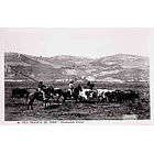 1940's Bilhete Postal de Vila Franca de Xira. Conduzindo touros 1